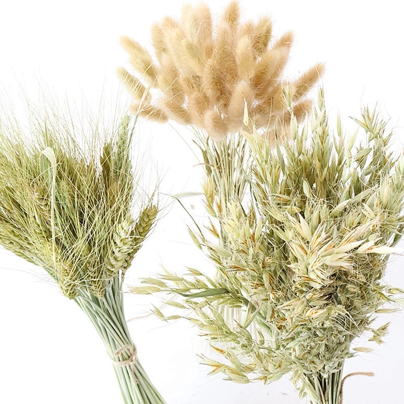45Cm Natural Dried Artificial Flower Small Reed Real Plant Pampas Grass Wedding Party Decoration