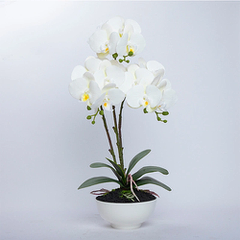 Home Decoration Orchid Branch Artificial Phalaenopsis Flowers Butterfly Orchid For Sale