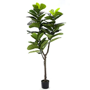 Wholesale New Design Plastic Succulent Artificial Lyrata Fiddle Plants Trees Houseplants Greenery Fiddle Plant
