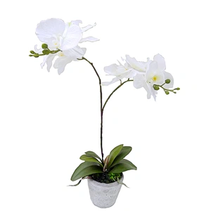 Wholesale outdoor wedding decoration orchid flower real touch orchid artificial flower for home