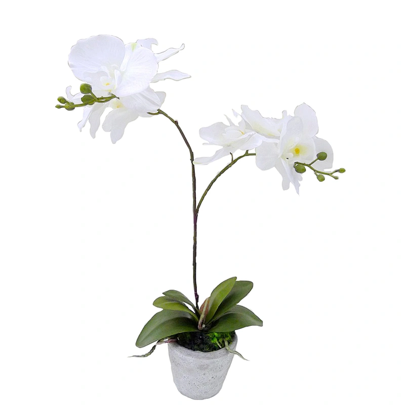 Wholesale outdoor wedding decoration orchid flower real touch orchid artificial flower for home