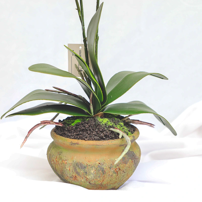 Factory Supply Artificial Flowers Faux Water Cymbidium Butterfly Orchid For Home Decoration