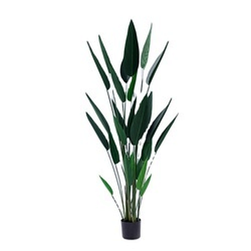 Hot sale and popular wholesale artificial  Strelitzia plant ornamental plants
