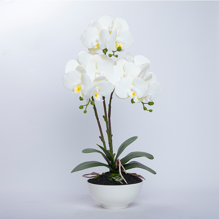 Home Decoration Orchid Branch Artificial Phalaenopsis Flowers Butterfly Orchid For Sale