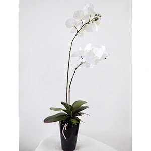 Appearance fashion wholesale orchid plants flower artificial room table decoration flower artificial orchid plants