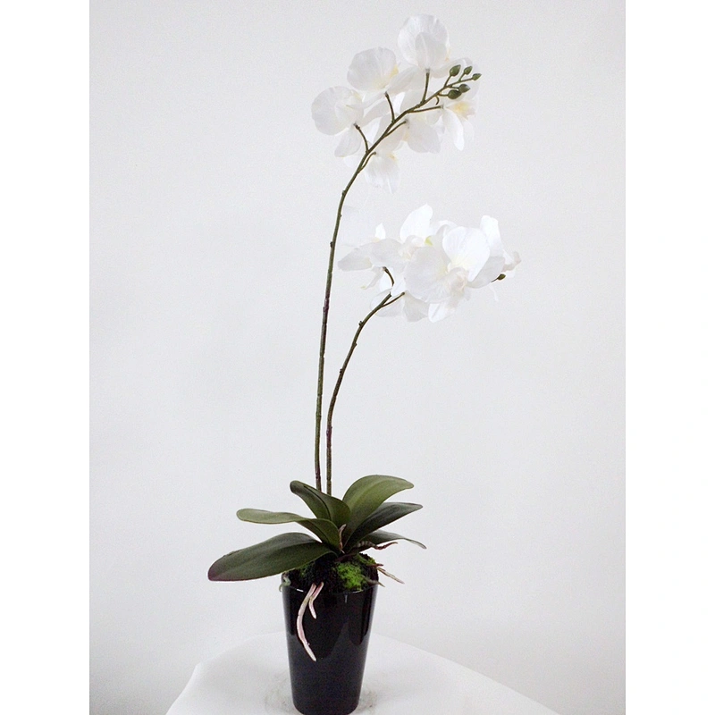 Appearance fashion wholesale orchid plants flower artificial room table decoration flower artificial orchid plants