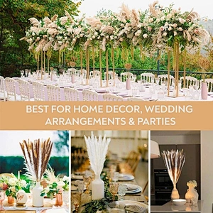 Phragmite Dried Flowers Natural Dried Pampa Grass Bouquet DIY Artificial Flower Plant Bouquet background Home Living Room