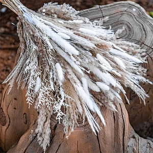 85pcs Natural Pampas Grass Wedding Dried Flower Bouquet Pampas Reed Home Party Decor Decoration Arrangements