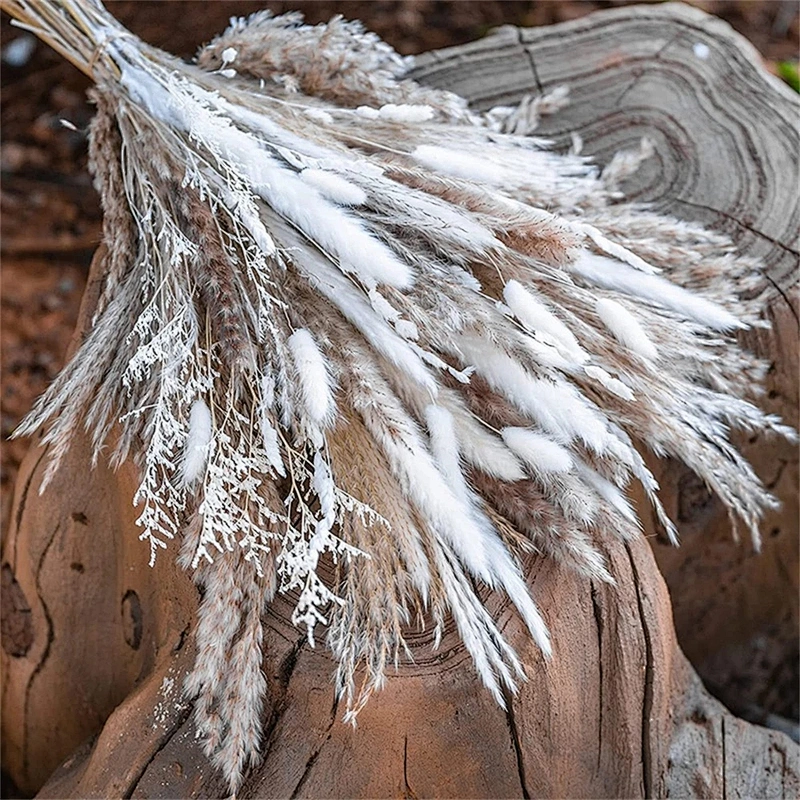 85pcs Natural Pampas Grass Wedding Dried Flower Bouquet Pampas Reed Home Party Decor Decoration Arrangements