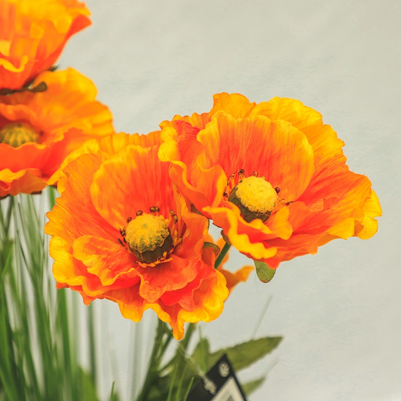 Real summer artificial yellow poppy bundle leaves hand spring plant hand wrapped spring yellow poppy bundle flowers