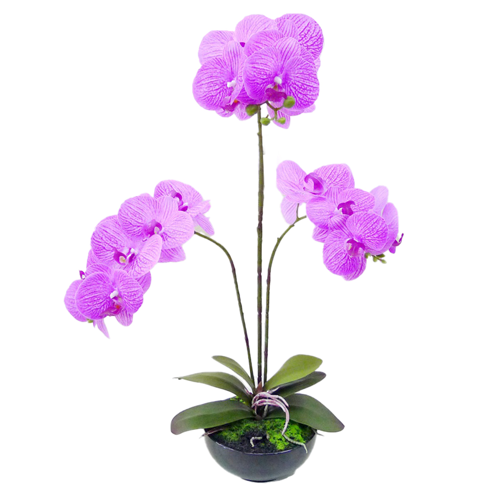 High Quality Real touch Artificial Orchid Plants Orchid Flowers Orchid for Indoor Decoration
