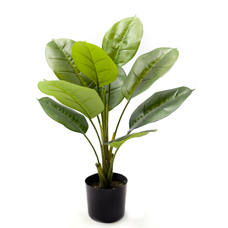 Most Popular Greenery Plant Artificial Scindapsus Aureus Dried Garden Scindapsus Aureus For Living Room Decoration