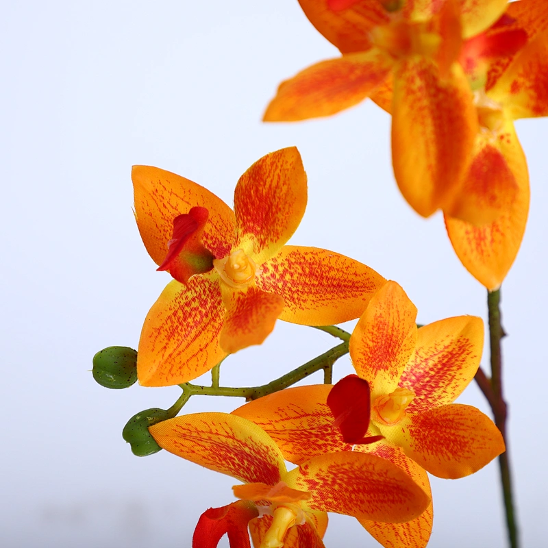 Factory Direct Sale Silk Orchid Assortment Artificial Garden Decor Real Touch Flower Phalaenopsis