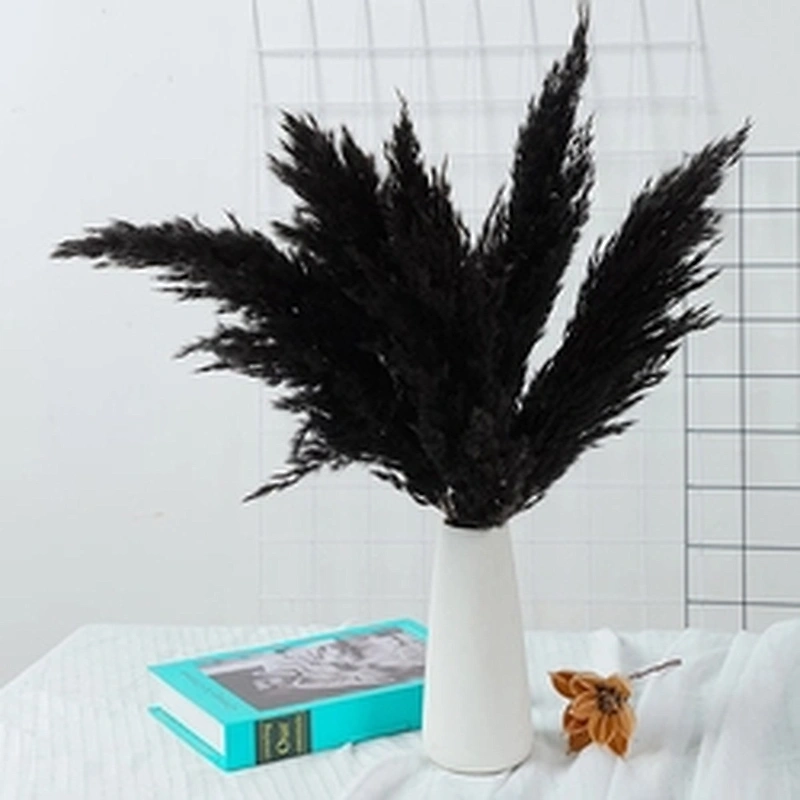 10pcs Real Bulrush Natural Dried Flowers Plants Small Dry Flower for Decoration Pampas Grass In Bouquet Wedding Home Decor