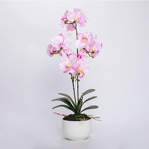 Wedding party home decoration phalaenopsis artificial flower real touch butterfly orchid artificial flower