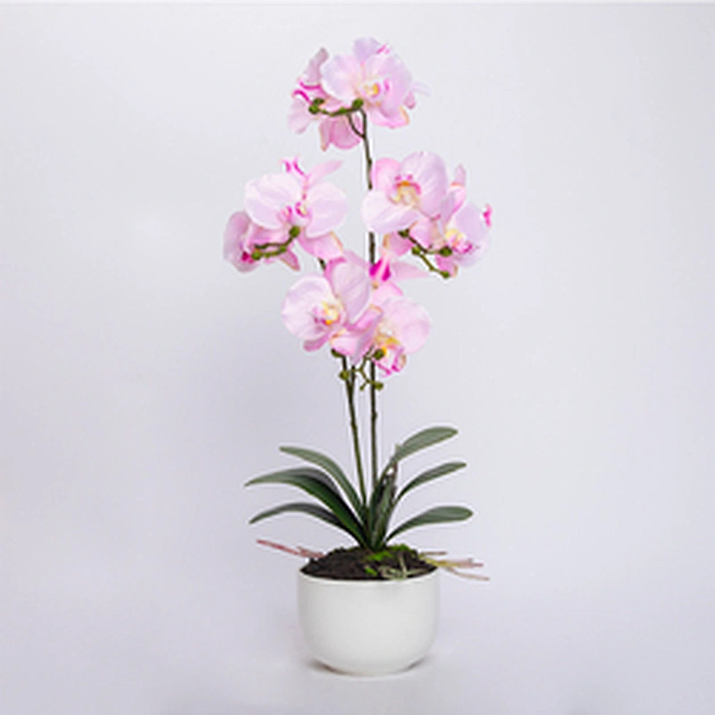 Wedding party home decoration phalaenopsis artificial flower real touch butterfly orchid artificial flower