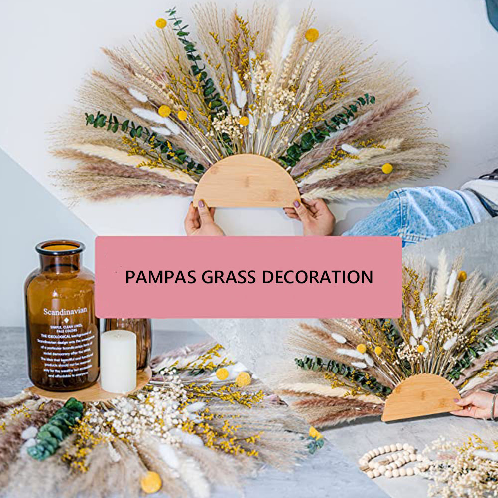 Natural Pampas Grass Preserved Decor Home Pieces Wall Hanging Pampas Grass Decoration Suitable Minimalist Farmhouse Room