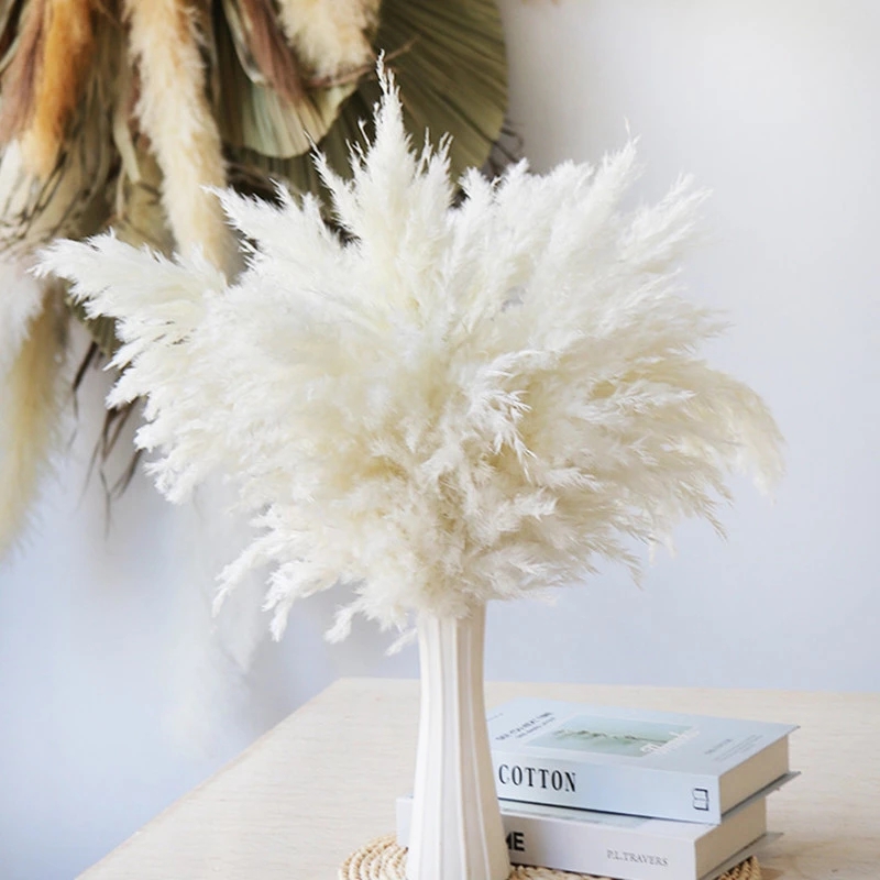Small Reed Immortal Dried Artificial flowers Ornaments Grass Home Living Room Christmas Eve Decoration Artificial flowers