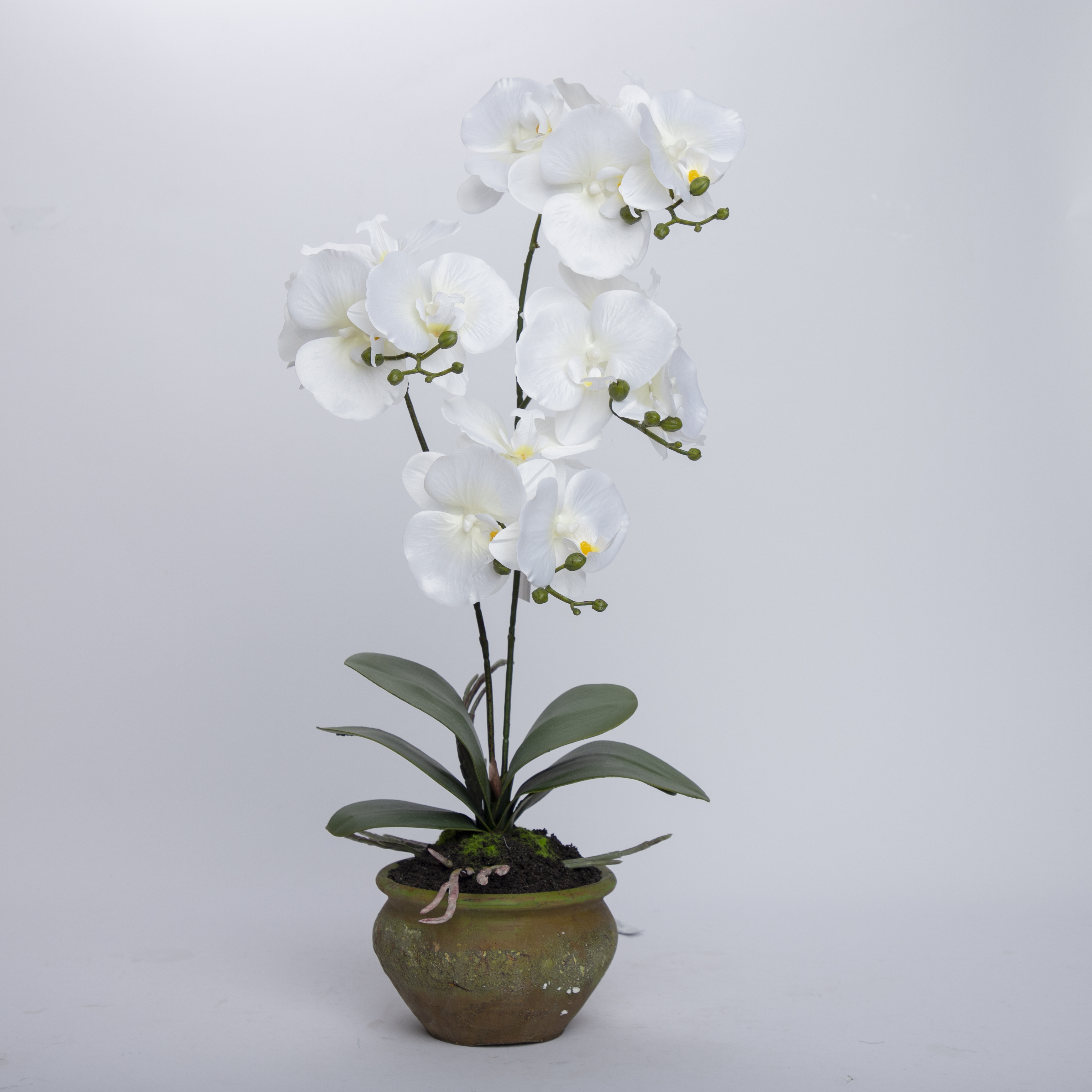 China Wholesale Real Touch Wedding Artificial Orchid Pot Assortment Cymbidium For Indoor Decoration