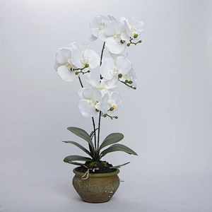 China Wholesale Real Touch Wedding Artificial Orchid Pot Assortment Cymbidium For Indoor Decoration