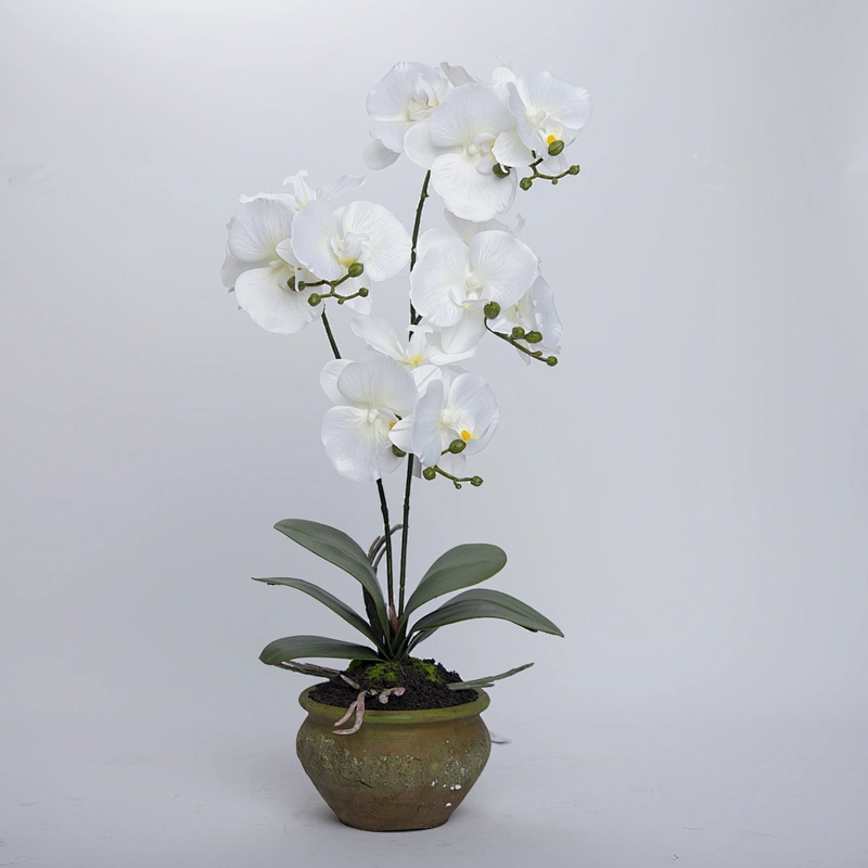 China Wholesale Real Touch Wedding Artificial Orchid Pot Assortment Cymbidium For Indoor Decoration