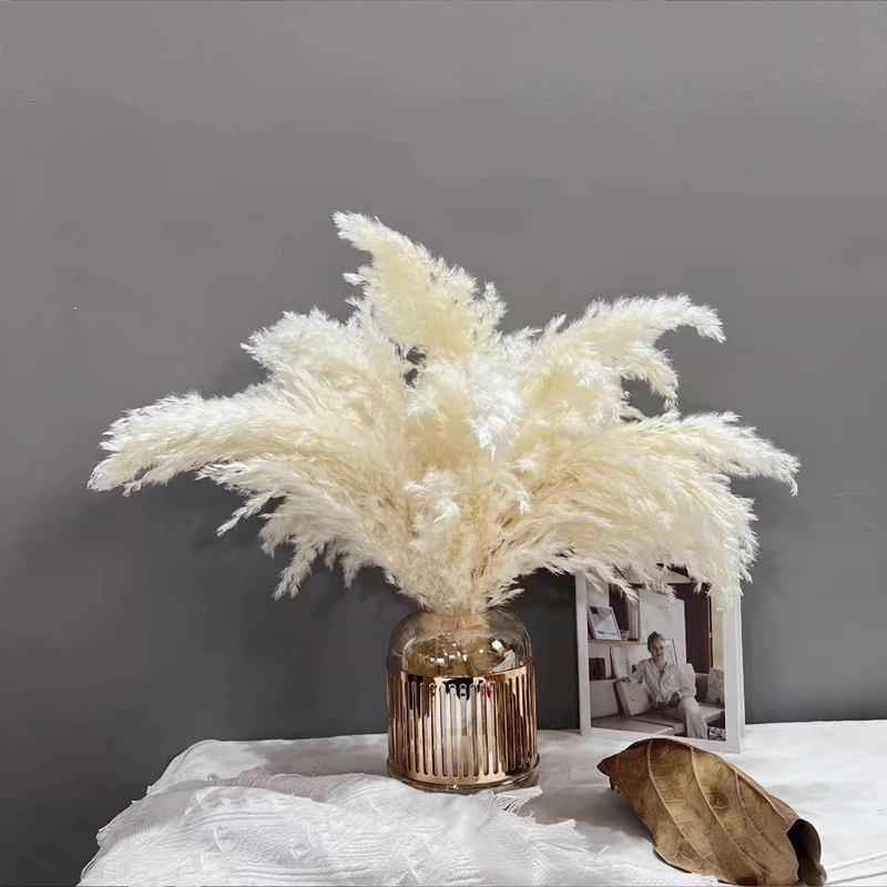 Decoration Natural Pampas Grass Bouquet Home Decor Dried Pampas Grass Flowers For Wedding Table