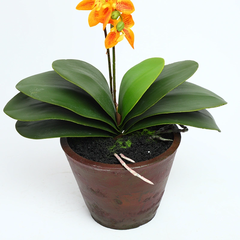 High Quality Real Touch Artificial faux water cymbidium Faux Water Butterfly Orchid For Home Decoration