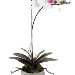 wholesale home indoor decoration wedding artificial orchid flowers 3D printing orchid decoration artificial orchid plant