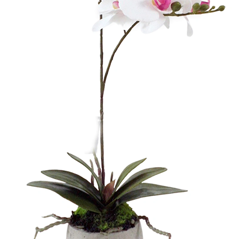 wholesale home indoor decoration wedding artificial orchid flowers 3D printing orchid decoration artificial orchid plant