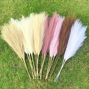 45cm Reed 10Pcs Dried Flower Natural Pampas Grass Black Christmas Decoration Phragmites Wedding Home Decor