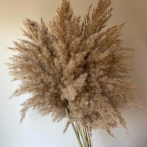 80-120cm Pampas Grass Large Natural White Grey Flower Bouquet Fluffy for Home Decor Wedding Flower Decoration