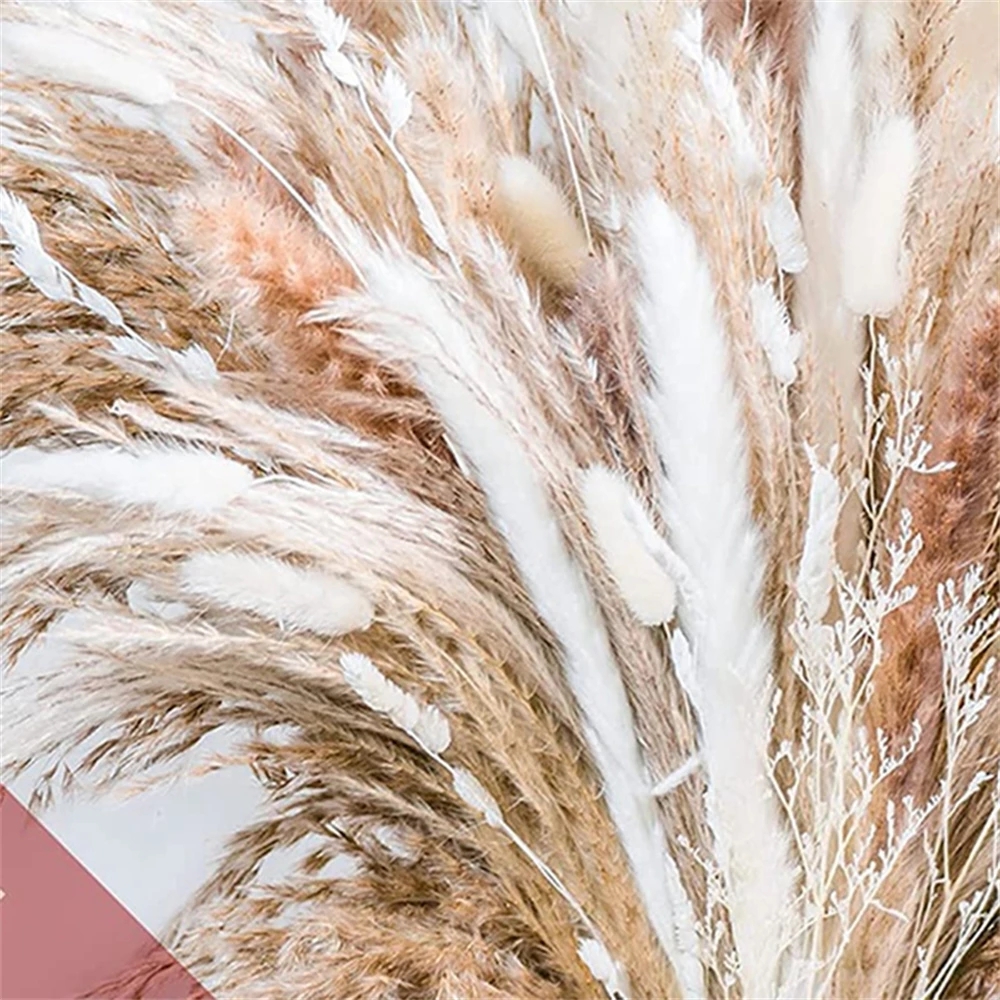 85pcs Natural Pampas Grass Wedding Dried Flower Bouquet Pampas Reed Home Party Decor Decoration Arrangements