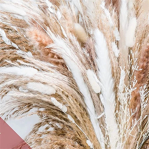 85pcs Natural Pampas Grass Wedding Dried Flower Bouquet Pampas Reed Home Party Decor Decoration Arrangements