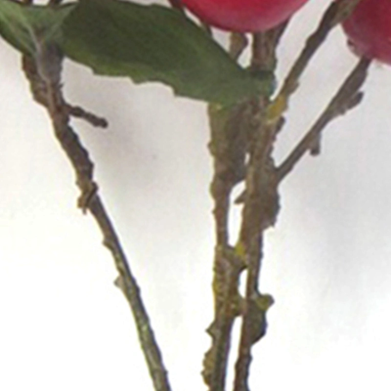 High Quality Affordable Wheat Wreath 57cm In/Out Door Decorations Hand Wrapped Spray For Sale