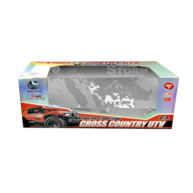 High speed 1/18 scale electric 2wd remote control rc car for kid