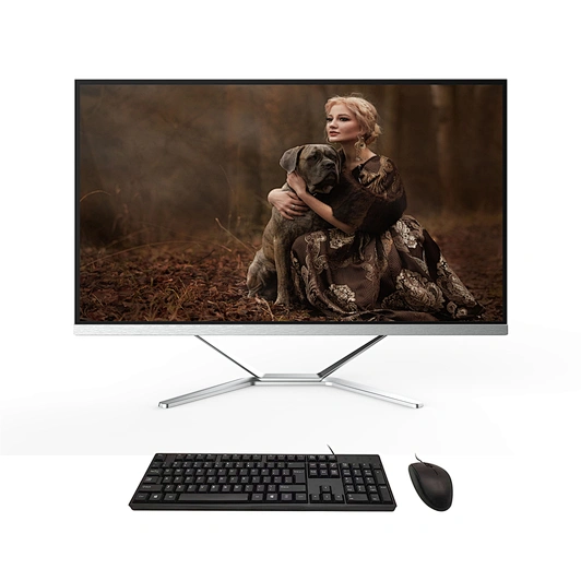 Unique all-in-one computer