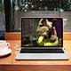 Laptop lightweight