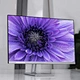 Ultra-thin all-in-one machine
