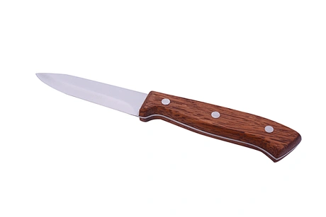 wood handle camping knife