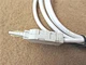 cord test