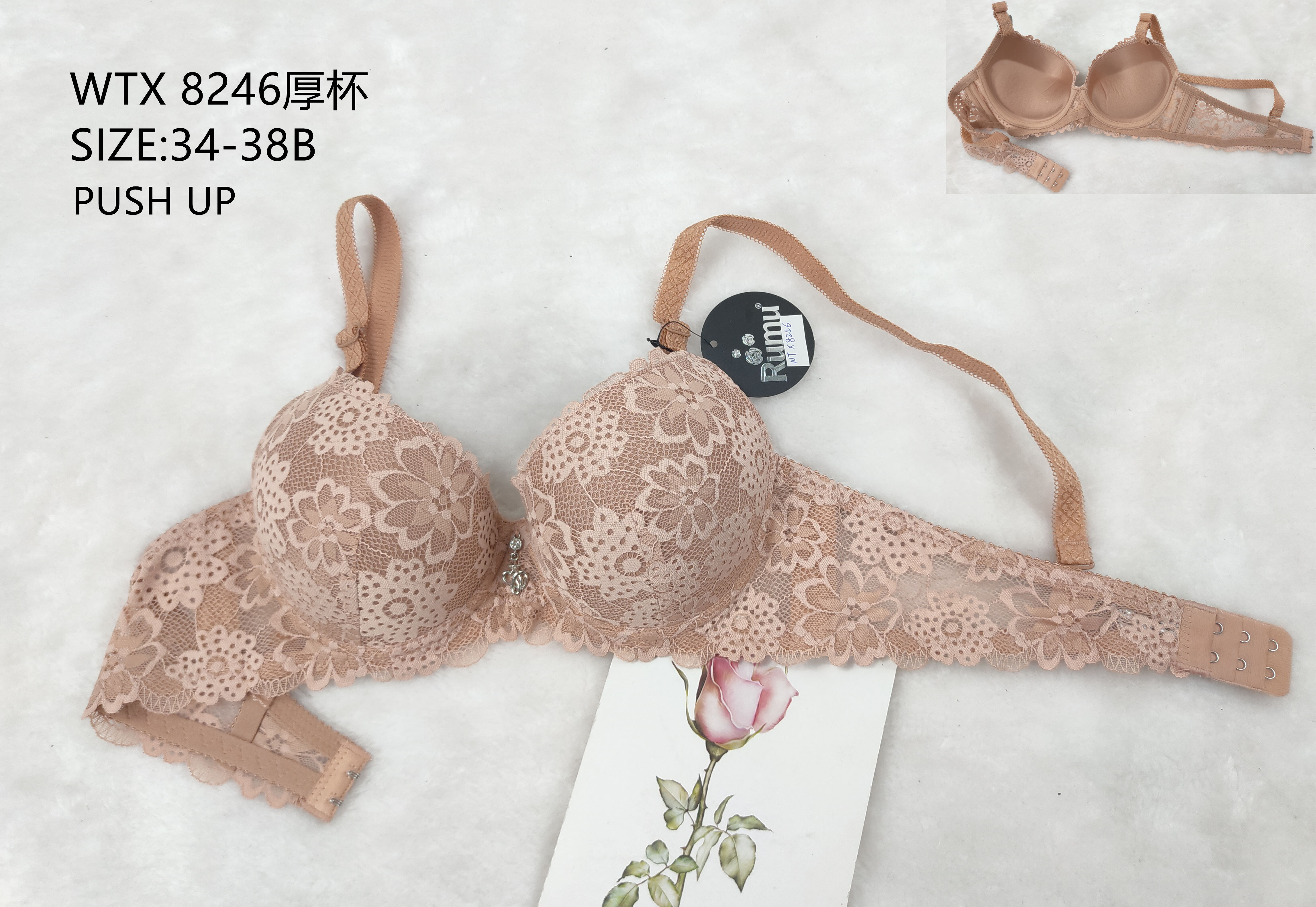 WTX8246厚杯,bra