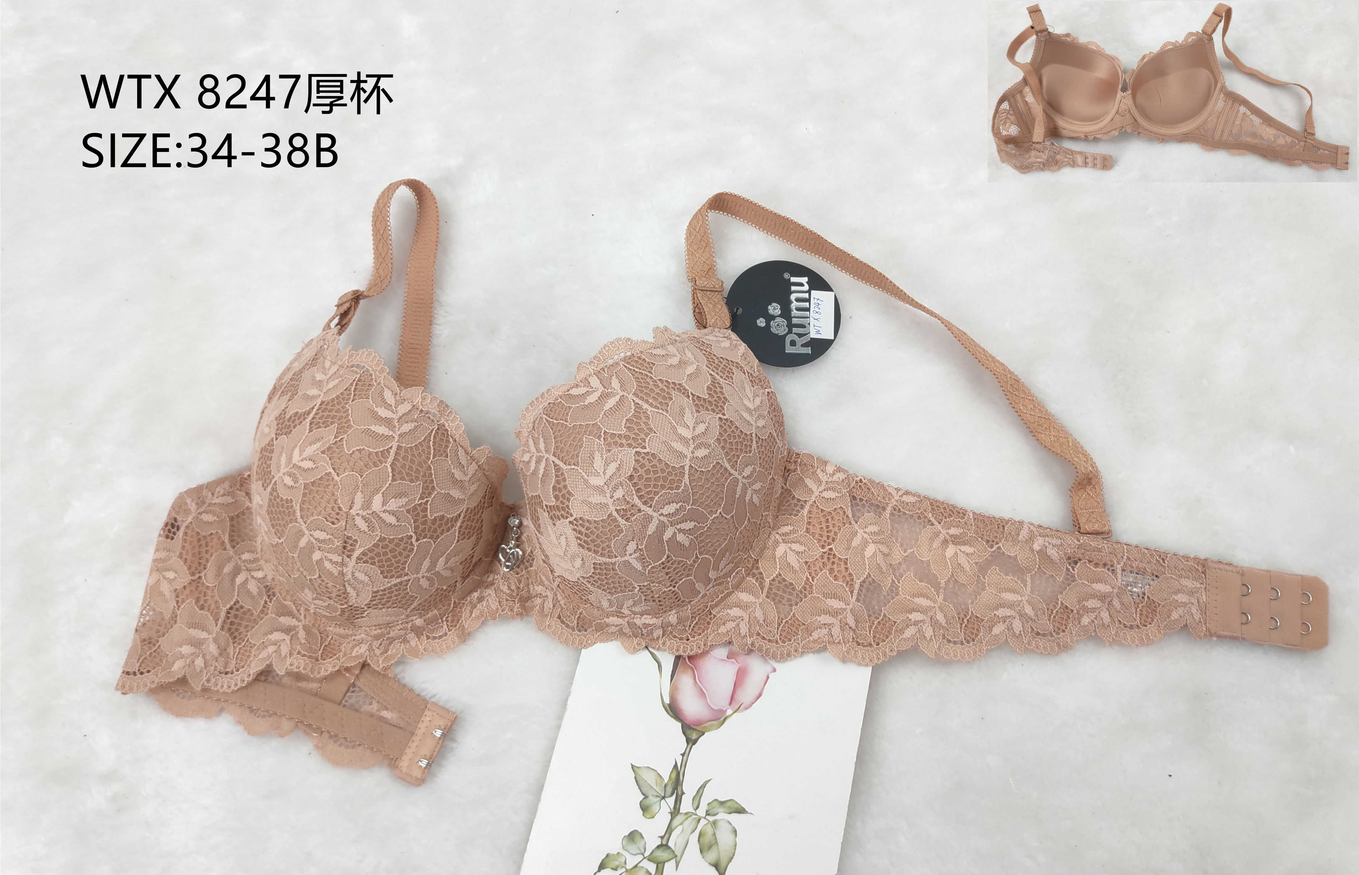 WTX8247厚杯,bra