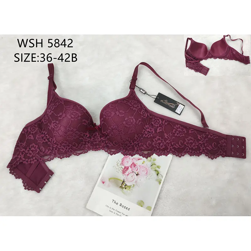 WSH5842