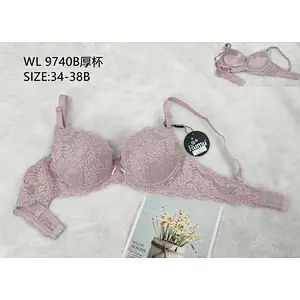 WL9740B厚杯