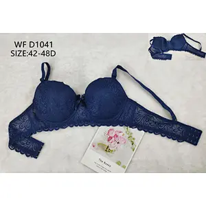 WFD1041