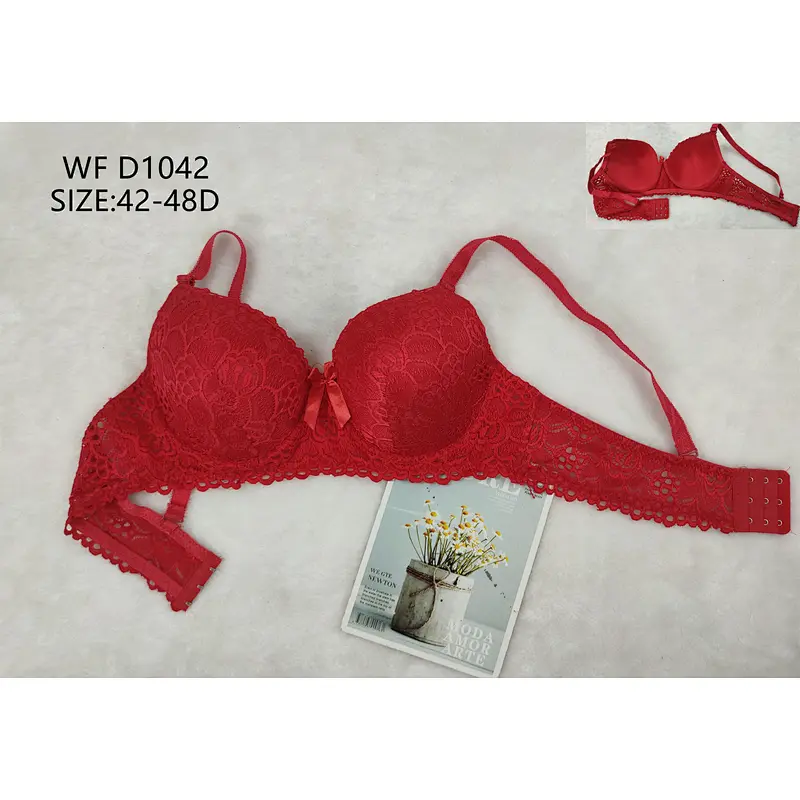 WFD1042