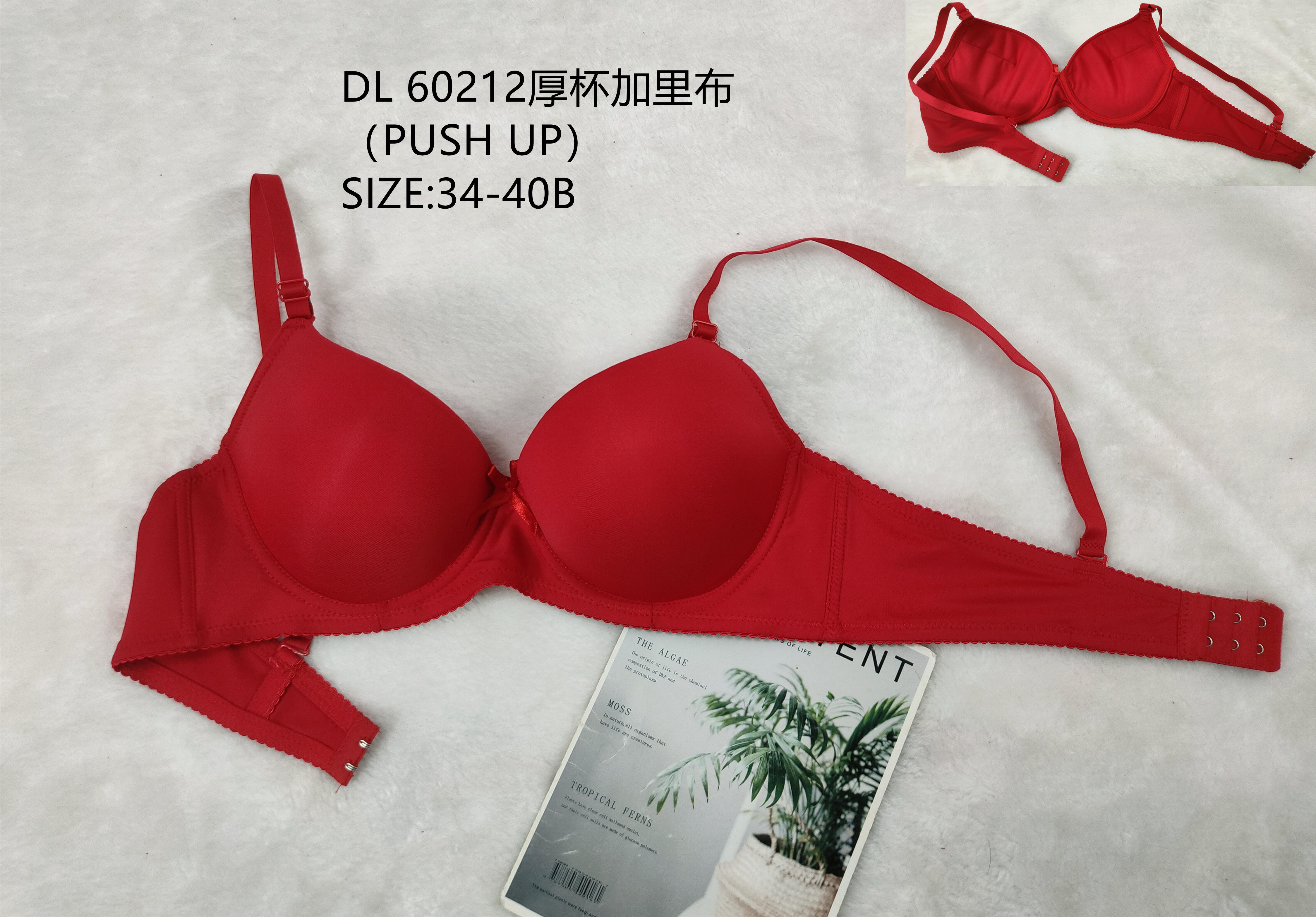 DL60212厚杯,bra