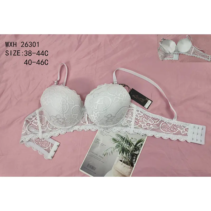 WXH26301,bra