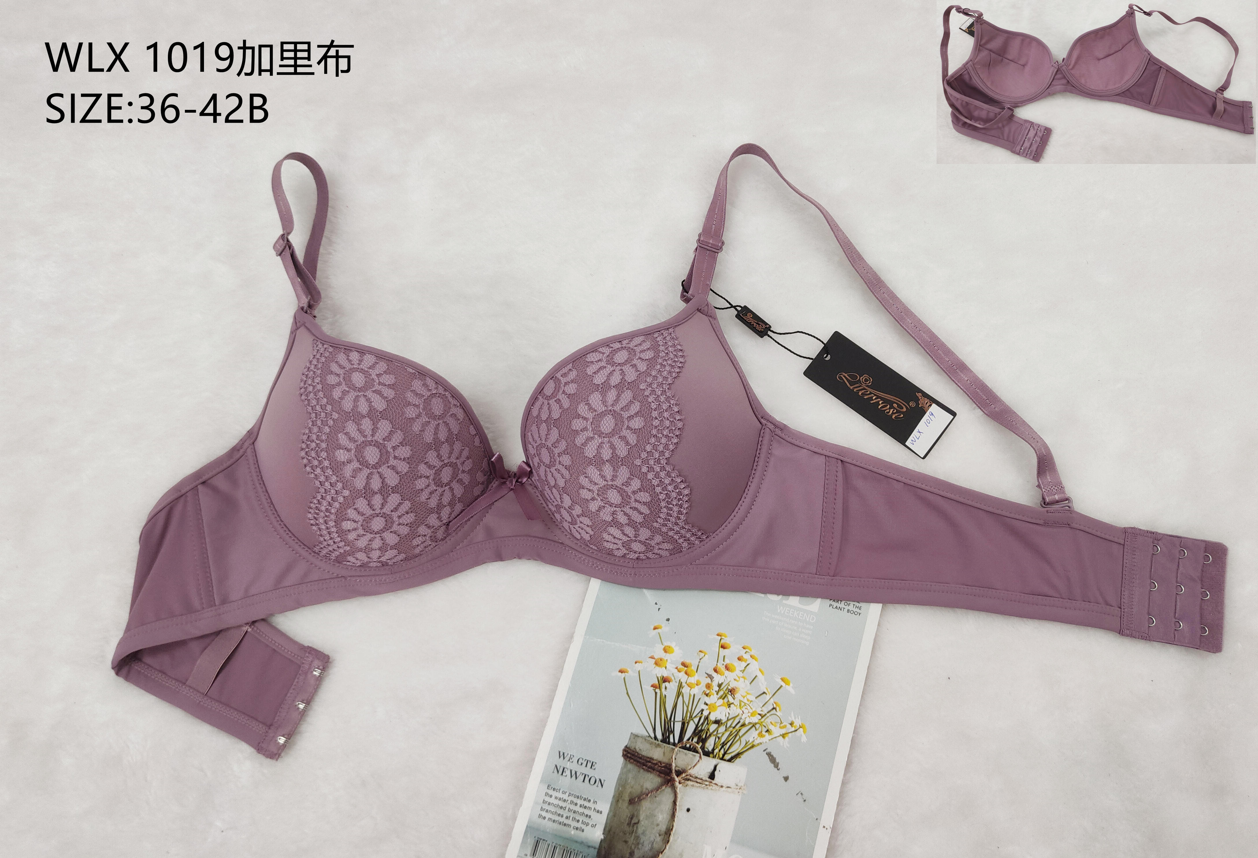 WLX1019加里布,bra