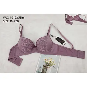WLX1019加里布,bra